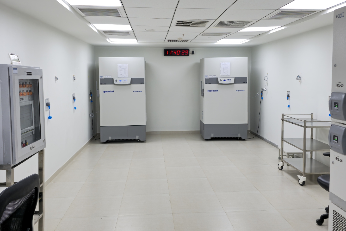 Freezer Room